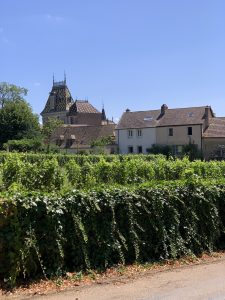 Château Corton