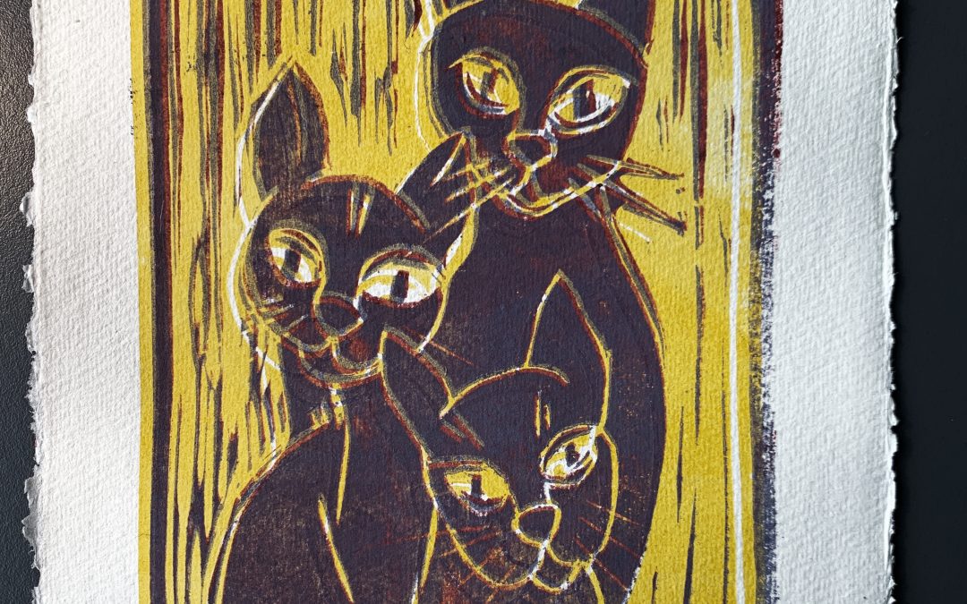 Katzen-Trio